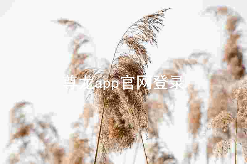 尊龙app官网登录