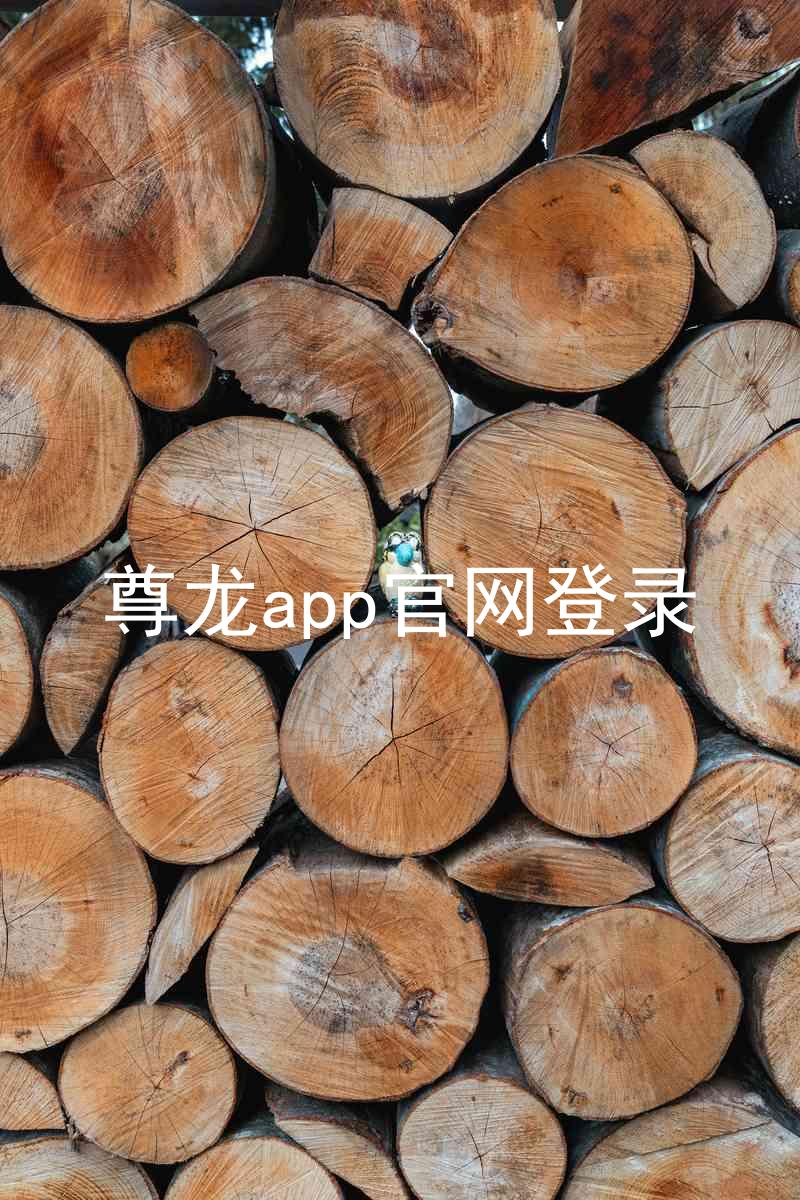 尊龙app官网登录