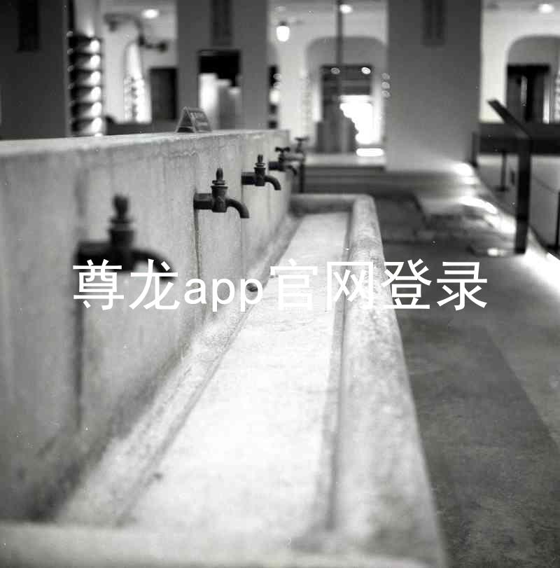 尊龙app官网登录