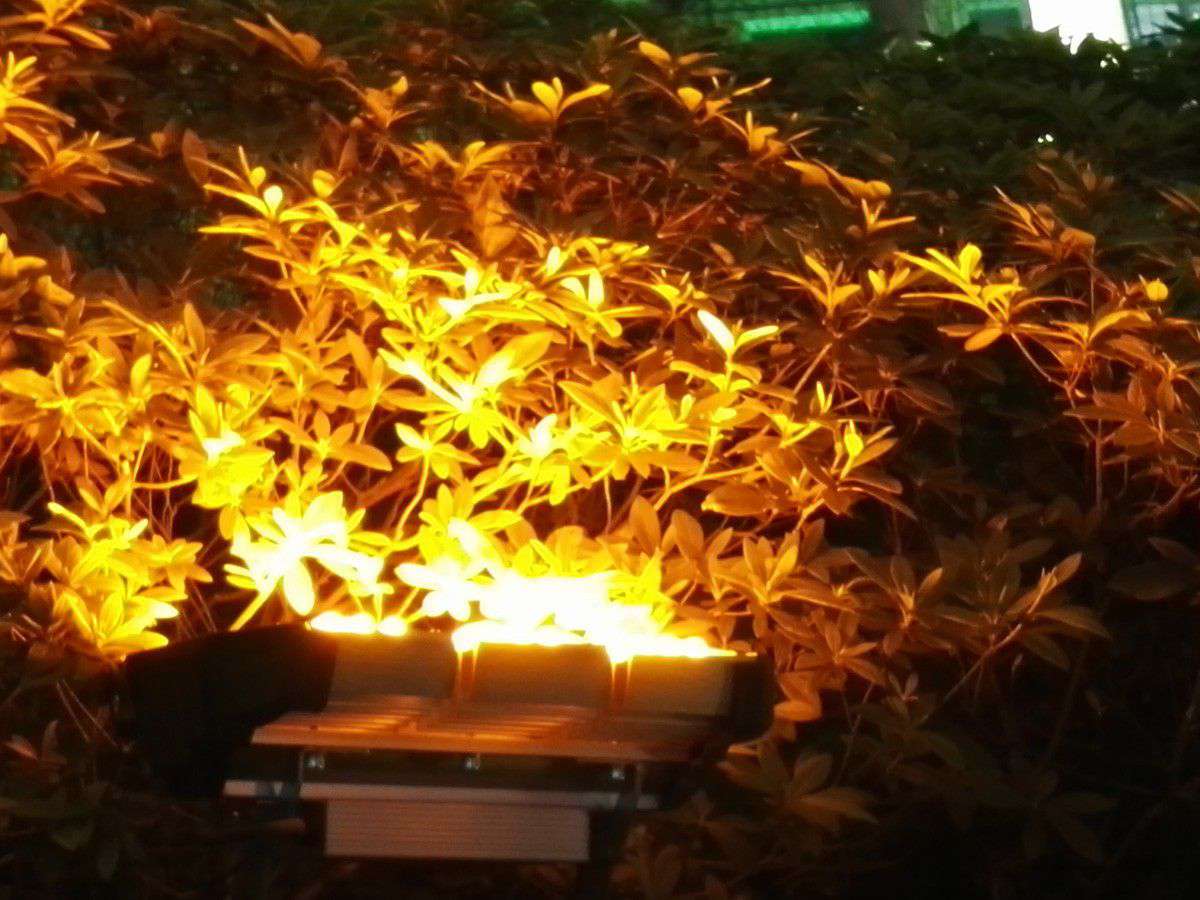 asiagame照明的RGB投光灯用在海内景观亮化项目_asiagame集团