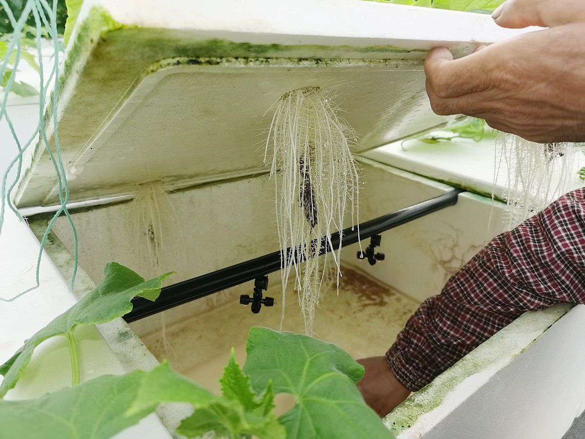 2019年营业部旅行植物农场_asiagame集团