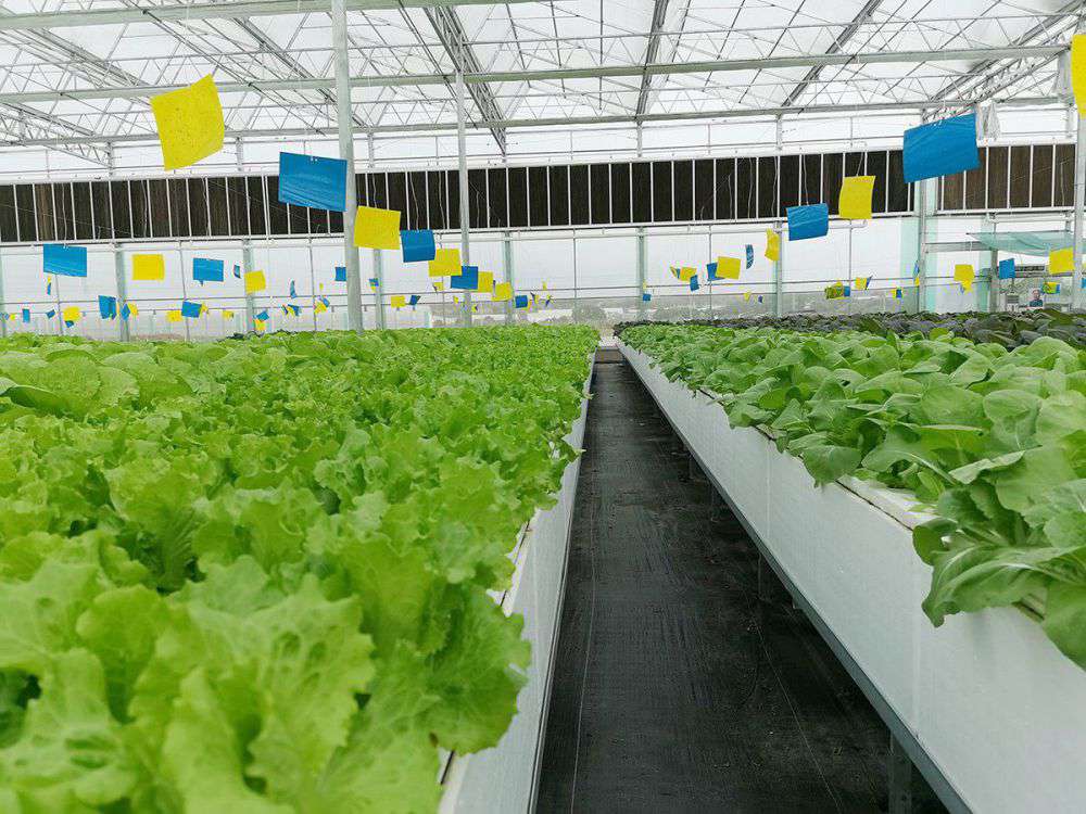 2019年营业部旅行植物农场_asiagame集团